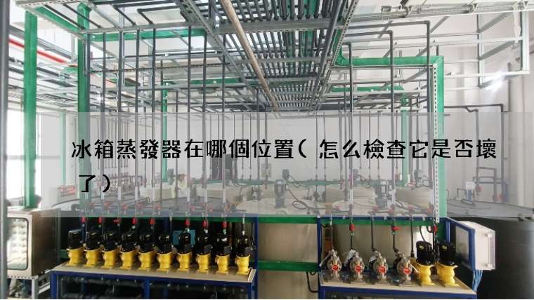 冰箱蒸發器在哪個位置(怎么檢查它是否壞了)